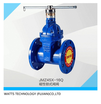 CZ45X磁性锁式闸阀