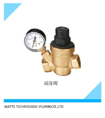 Y11W-16T带表活塞式减压阀